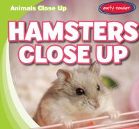 Hamsters_close_up